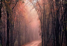 探索泉州天涯论坛的乐趣 - 当地交流的热门天地 (48字)