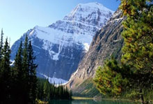 探索天涯隆胸论坛：聊聊大家的隆胸故事